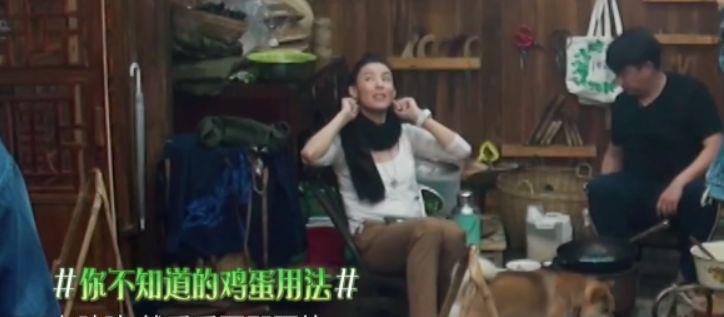 节目：产后五个月洁癖严重，自嘲一孕傻九年《向往》张柏芝大方谈三胎