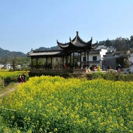 淮堰村人口_淮村兵后诗的背景(2)