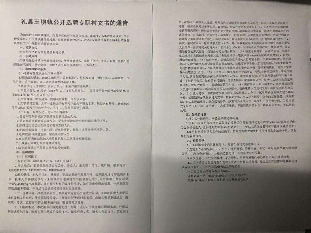 招聘文书_公司招聘启事范文文书 12237460 Word模板