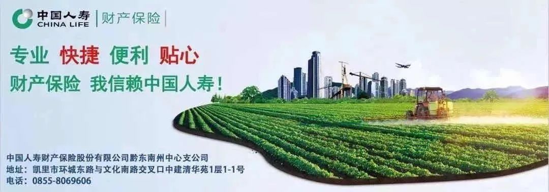 中国人寿财险：315 | 全心权益 有我安心