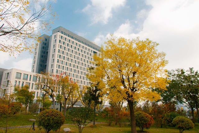 徐州二本大学排名_二本大学,录取最低分超一本20多分!有201