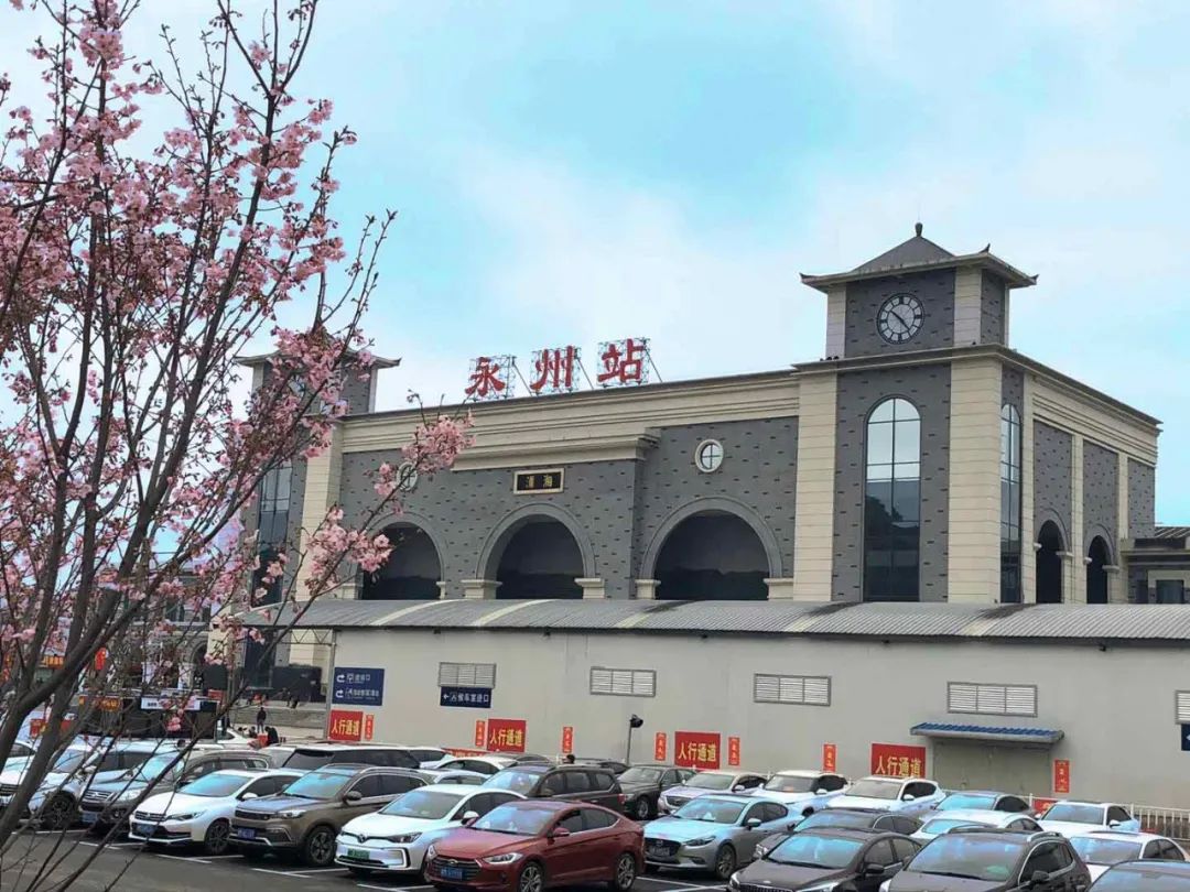 火车站站前广场上的樱花已盛开据了解，永州以“六城同创”为抓手，不遗