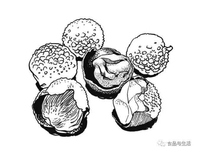 2aa7f5156b414255a73b956c1e224338.jpeg