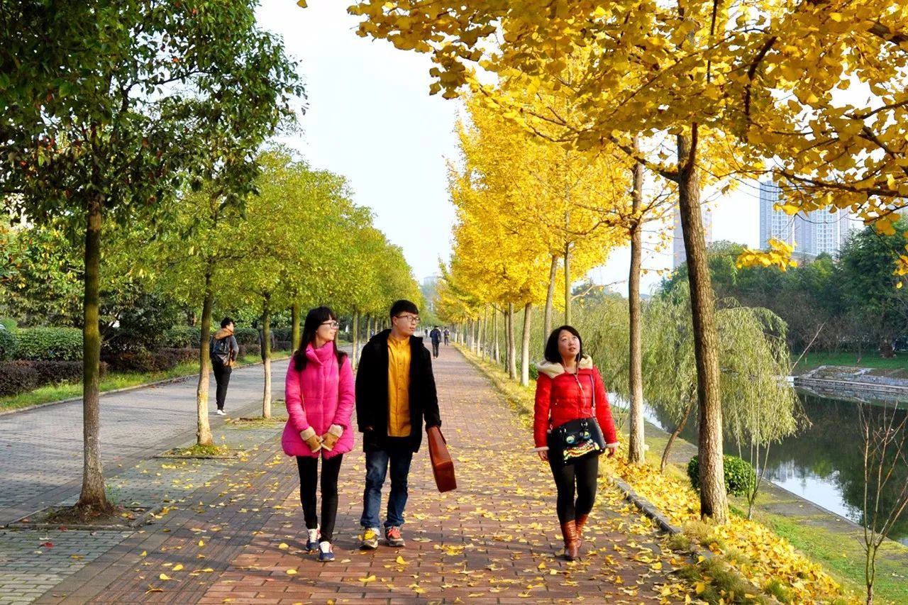 [国家教育部]宜昌三峡大学是一所什么层次的大学?有哪些优势学科?