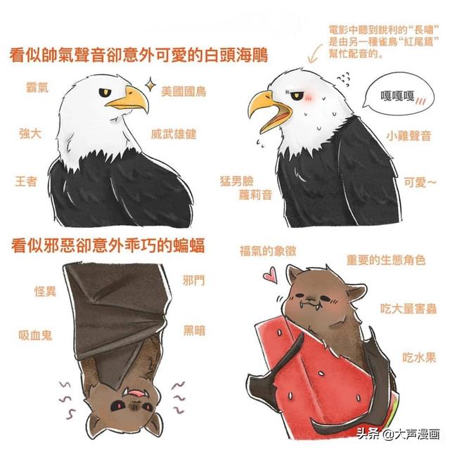 39e7f03735864e2ea1f0b69213f56a5c.jpeg