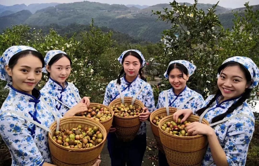 【自家制】都平镇纯正土榨白花山茶油