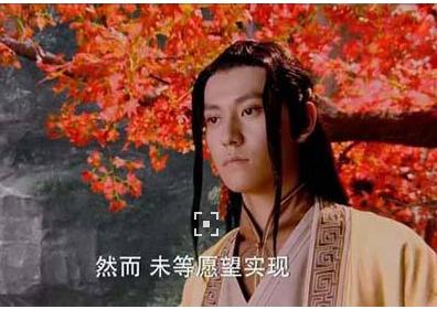 凭大唐荣耀和青云志刷屏却不红，与杨紫恋爱也