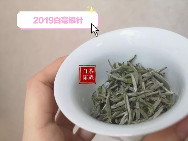 43b556d7c2cd4d4599ac69e42f72b154.jpeg