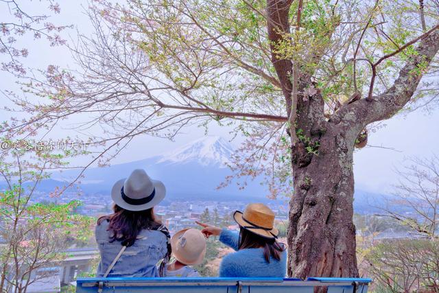 一生必看一次的富士山，竟是借來的，網友：太意外 寵物 第3張