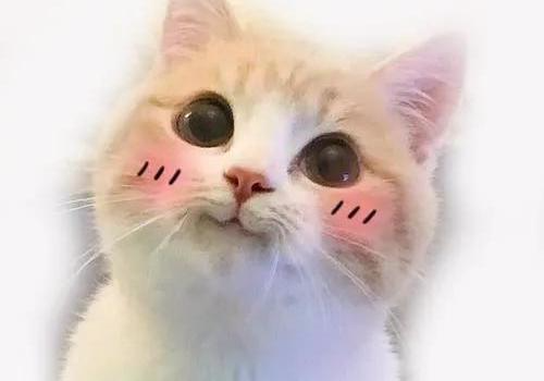 4c634c5deae840fa842ace69d40919bc.png