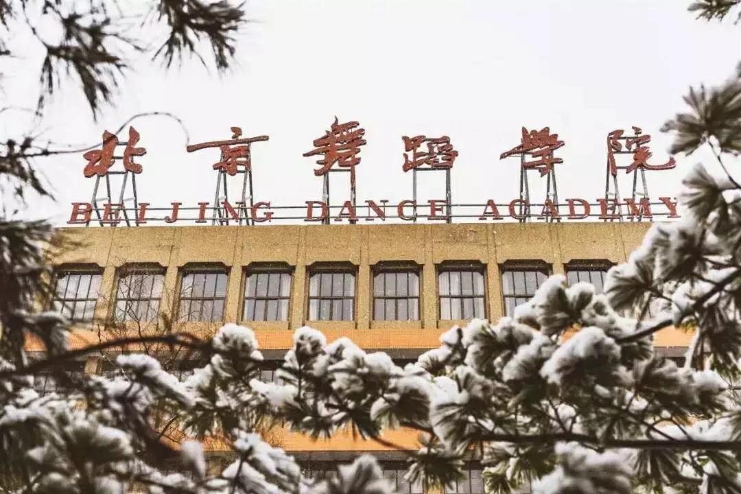 2020中戏校考排名_惊!北电中戏将大量取消校考,2020届将有80%的院校按联考