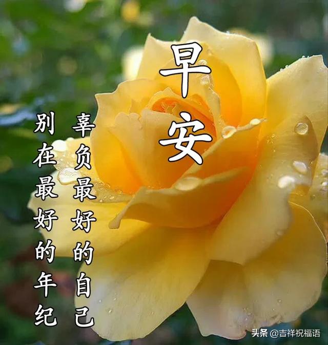 周一最新早安问候语图片带字温馨,早上好表情图片