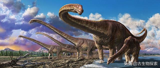 2020巨型蜥脚类恐龙排行榜第二梯队