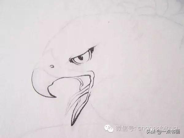 丝是几画 6b4fd29b54014fdbb252a7fb1a9485a0.jpeg