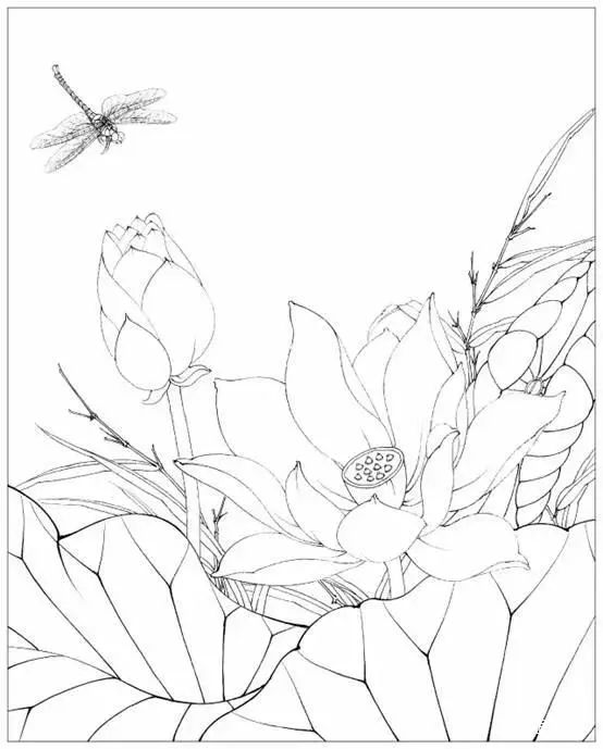 「国画教程」——跟我一起画荷花,详细教程,值得收藏