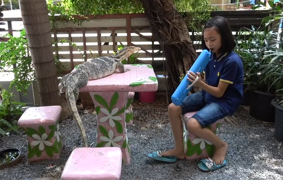 泰国女孩给近一米长蜥蜴演奏音乐 称能让它平静下来_亚洲