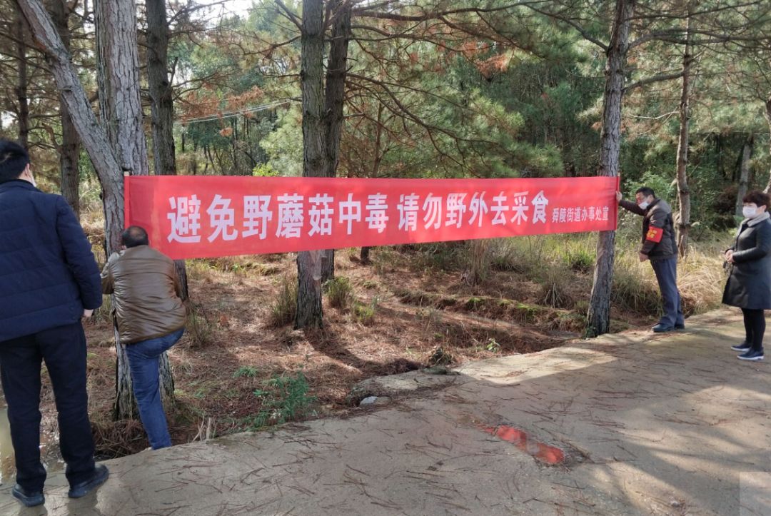 切勿擅自采食野生菌类及植物宁远县市场监督管理局已发布风险提醒