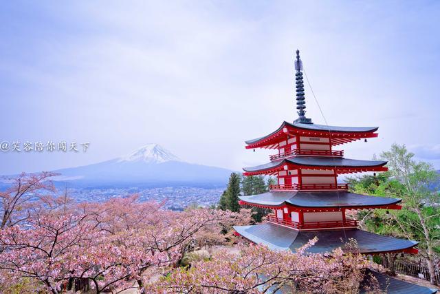 一生必看一次的富士山，竟是借來的，網友：太意外 寵物 第2張