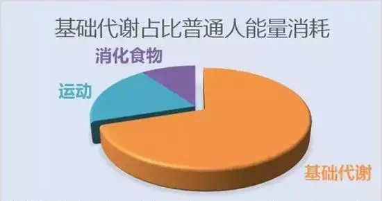 8a7bdc507cf248ecba5f740891675d23.png