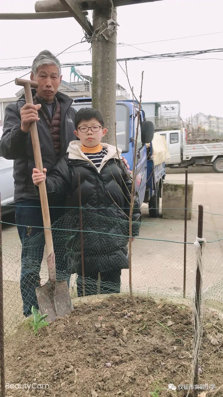 宅出不一样的假期张梓睿同学快乐的植树节纪实