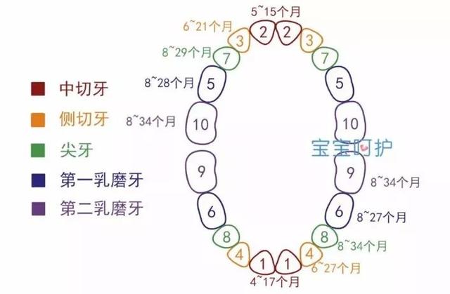 闭合：小心别把孩子耽误了这几种表现提示宝宝发育迟缓