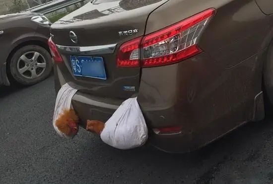 世界上最搞笑的车 9fa6f352ddf3487497ceafeb5136f0ab.jpeg