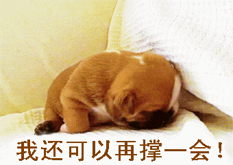 天津使用