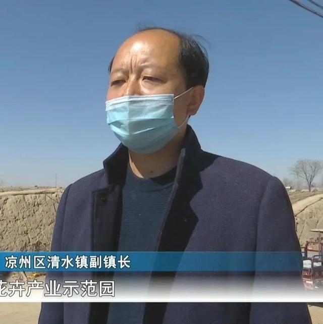 凉州区清水镇副镇长 王旭我镇将积极打造百亩花卉产业示范园,引导群众