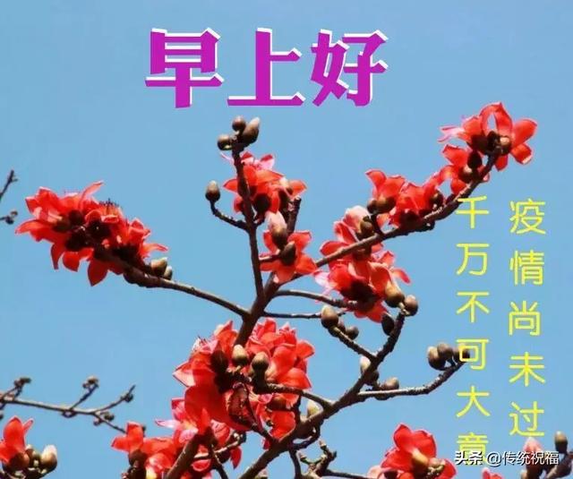 2020鼠年3月16日早上好祝福语简短周一春天早安表情图片免打字