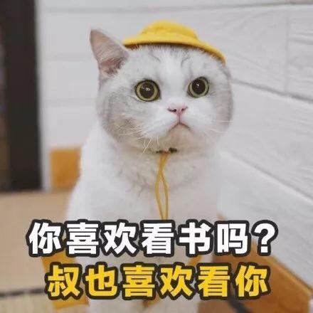 猫咪情话表情包合集| 你就是有个缺点,缺点我