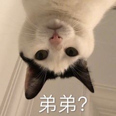 如何控制不发呆 b0ecb520b85f4369b2f6aa6517ee3d9f.jpeg
