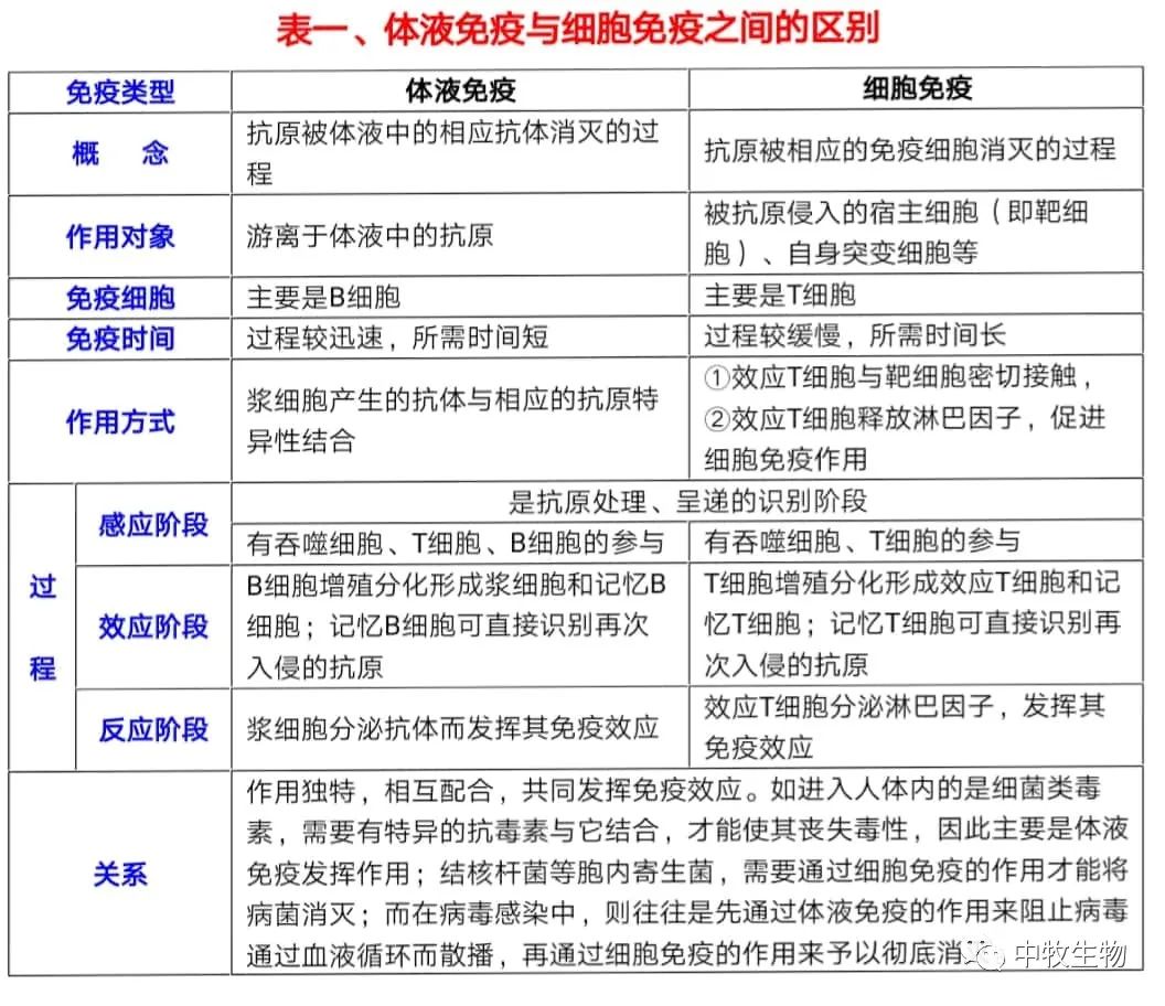 体液免疫细胞免疫必须弄懂的那些事儿