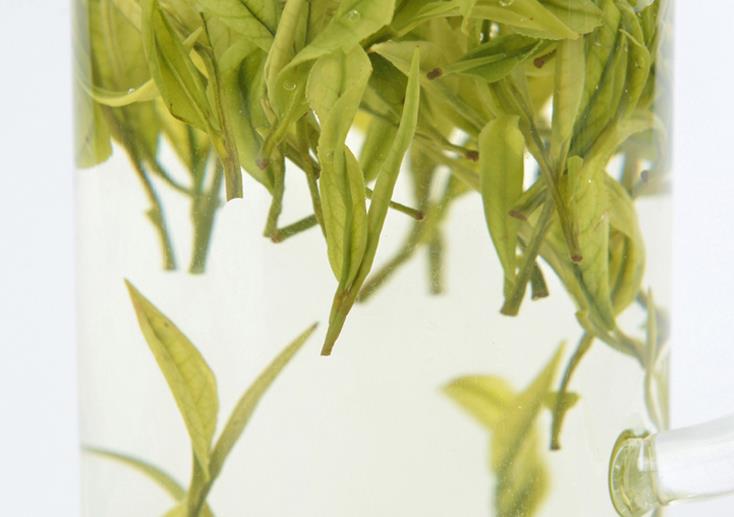 安吉白茶泡的时间 c82f3519444744a4bcd2576453a0f0e9.jpeg