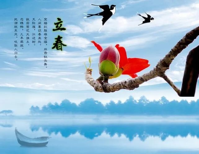 温都小记者|立春·窗外