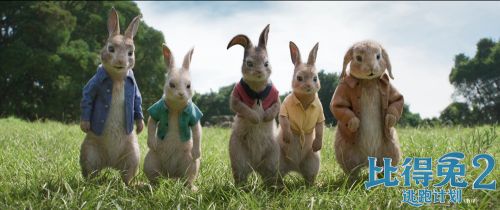 动画电影《比得兔2：逃跑计划》宣布全球档期延至8月7日_花木兰