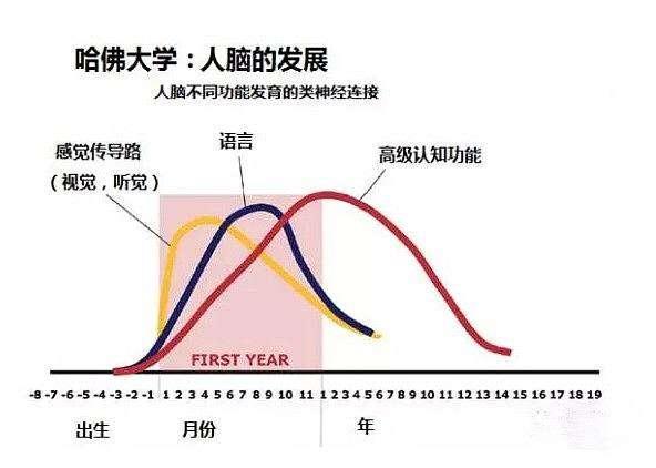 哈佛研究表明儿童大脑发育有3次高峰期父母别错过了