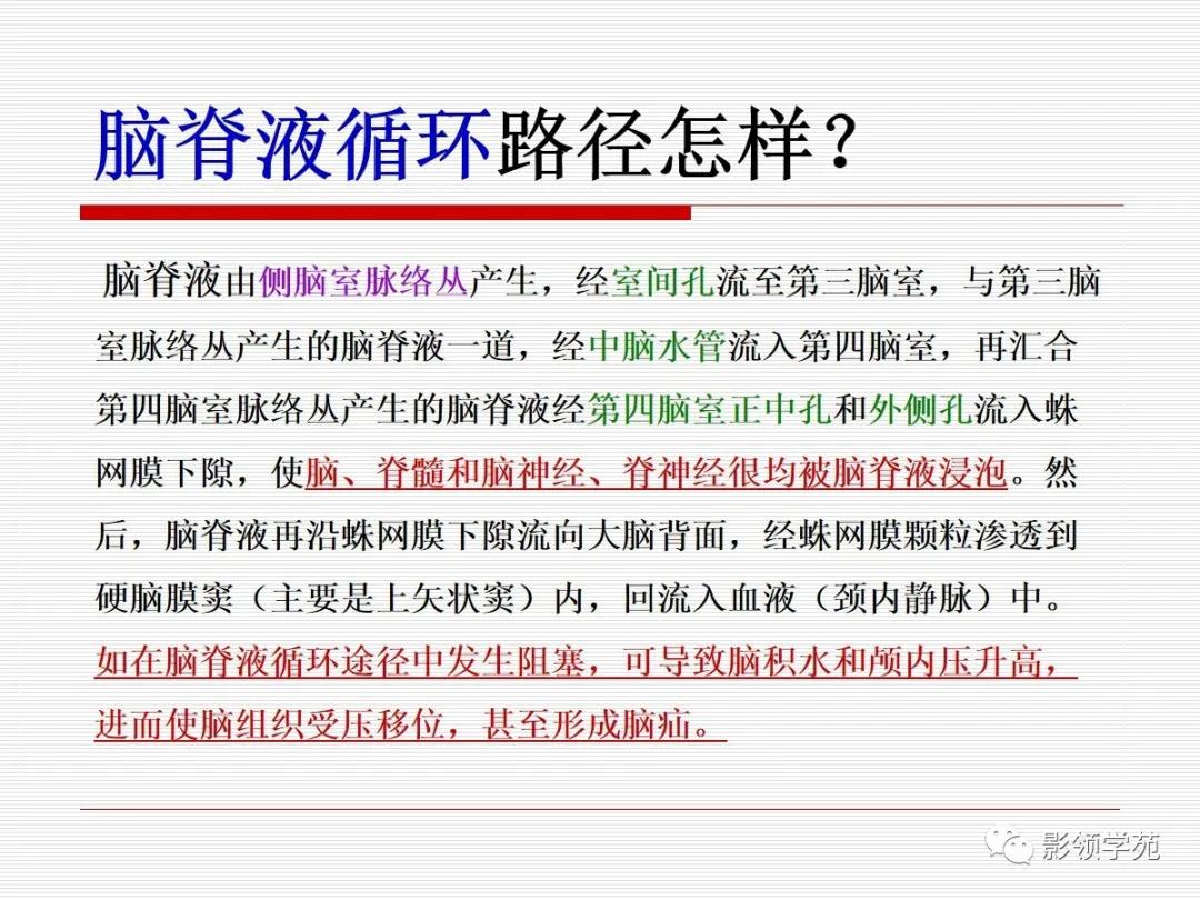 解剖&影像 | 脑室系统及脑脊液循环 这么详细的幻灯真