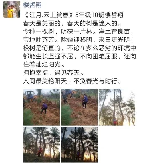 春姑娘简谱王芳_王芳主持人(2)