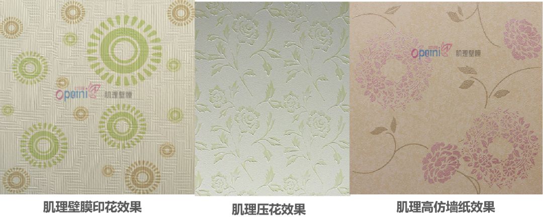 案例展示3主推产品2主营艺术涂料和肌理壁膜,该产品防水,防霉,防潮