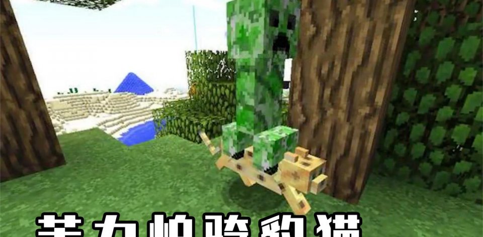 fe749aaebe1e48f48ebfd20f63633d3d.jpeg
