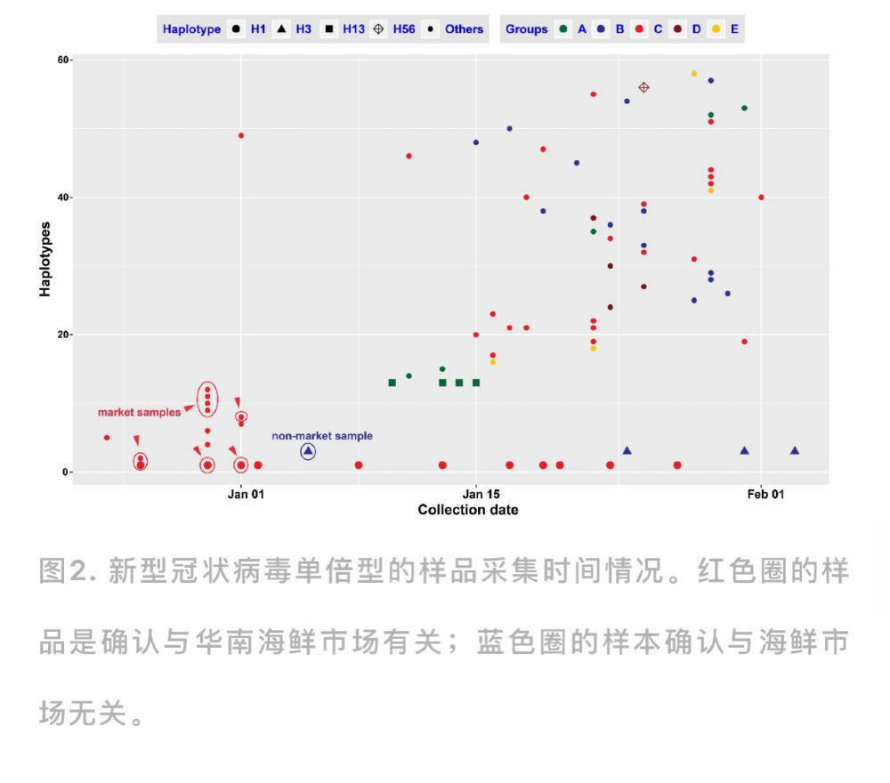 中国新冠病毒人口有多少_蒯姓中国有多少人口(2)