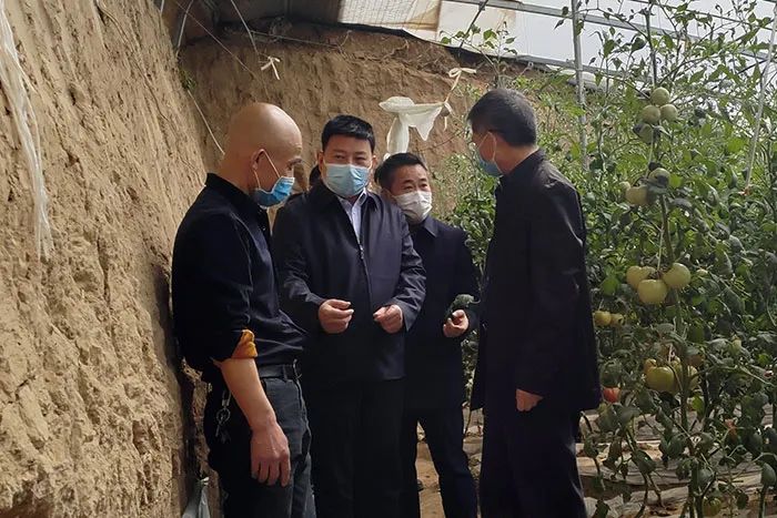 大唐陕西发电有限公司党委书记燕海增一行来澄城县调研项目建设脱贫