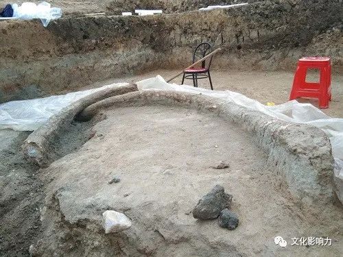 唐河县发现3米长象牙化石！在河南，寻觅那些逝去的大象……_宗悫