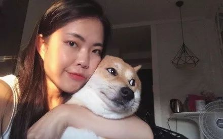 【狗狗】却被网友神补刀,瞬间就笑喷了主人发文抱怨狗狗合照不配合
