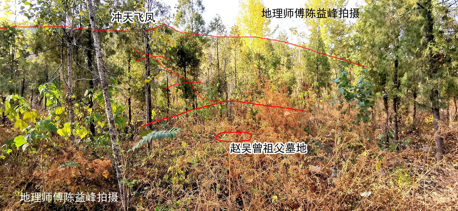 陈益峰冲天飞凤帝师赵吴的祖坟