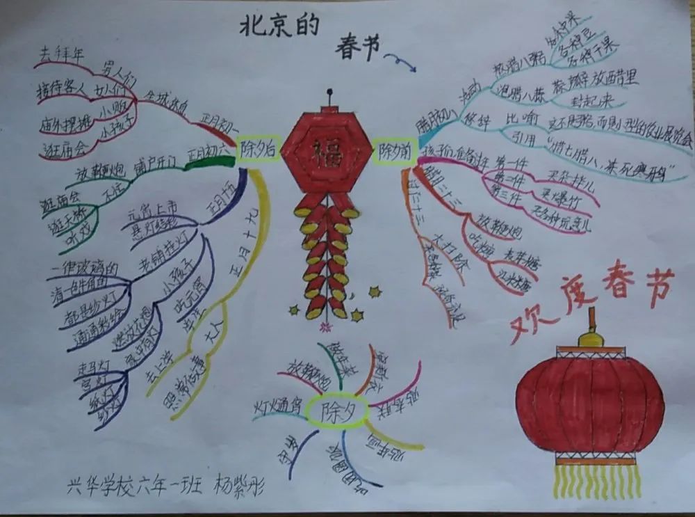 十一高中61兴华思维导图构建网络教学拓智