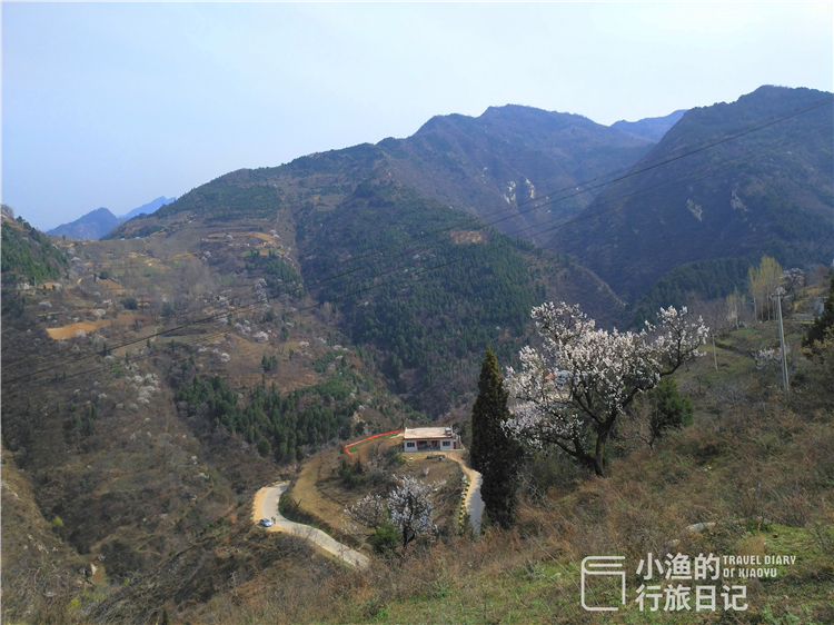 西安秦岭自驾,一日穿越天子峪,邂逅古寺,古树和乡野风情