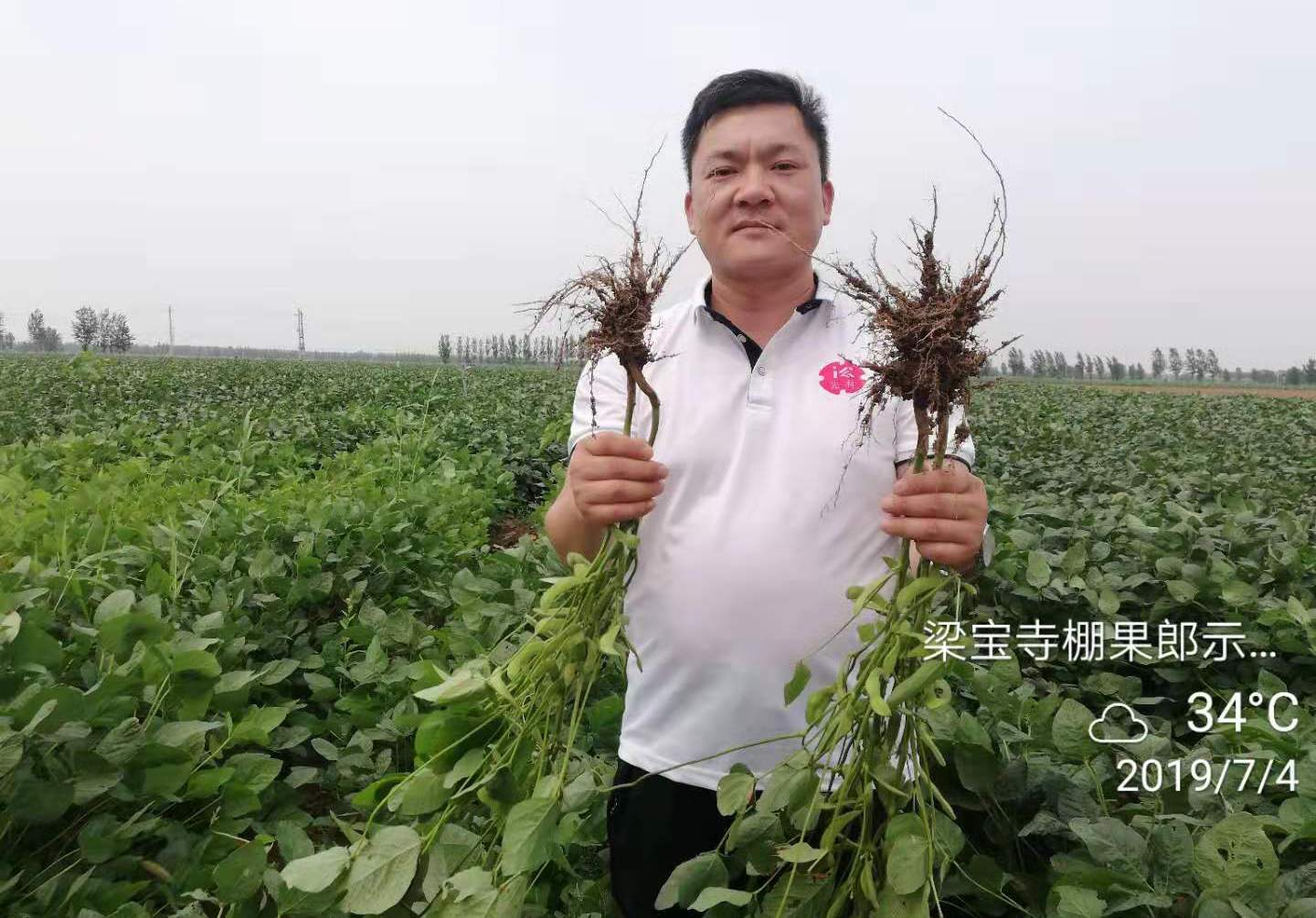 第一次是在苗期,此时根瘤菌尚未固氮,正是"氮肥饥饿期",所以要早施,可