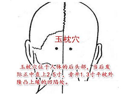 3寸平枕外隆凸上缘的凹陷处.取穴时,采用正坐位.