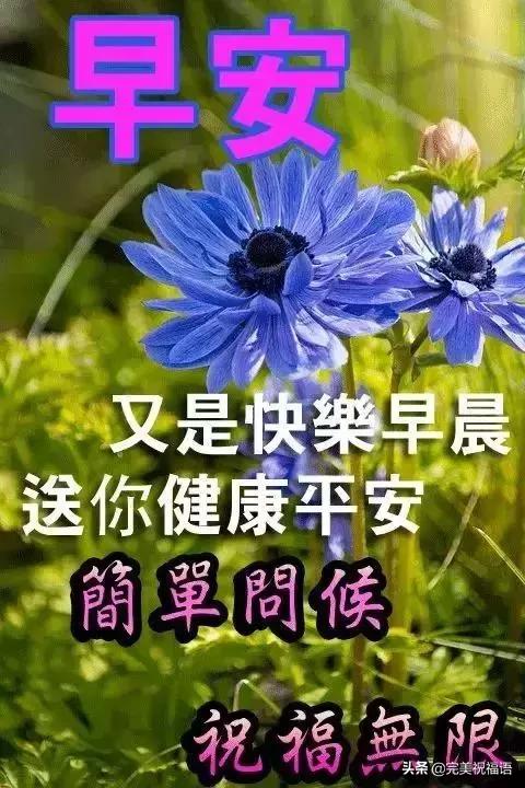 朋友圈早安问候句子祝福图片 清晨唯美问候祝福表情图片